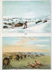 Indianere i Amerika. Bisonjakt: Indianere bruker truger for å jakte om vinteren og dekke seg med ulveskinn om sommeren. Illustrasjon av George Catlin (1794-1872) av George Catlin
