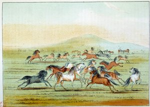 Indians of America: Villhester jaget av indianere. Illustrasjon av George Catlin (1794-1872) av George Catlin