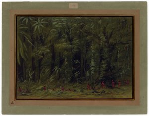 Interiør i en Amazonasskog - Zurumati av George Catlin