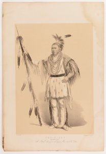  av George Catlin