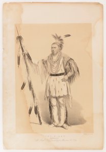  av George Catlin