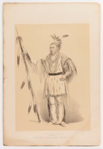  av George Catlin