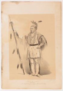  av George Catlin
