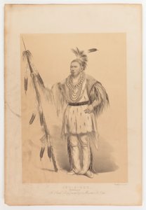  av George Catlin