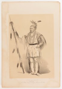  av George Catlin