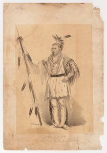  av George Catlin