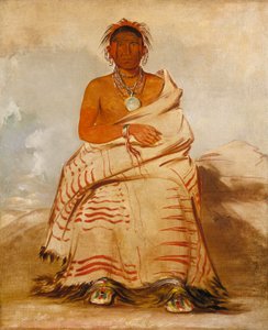  av George Catlin