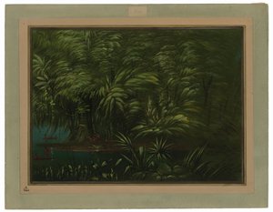 frodig skog på bredden av Amazonas av George Catlin