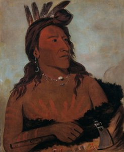 Mah-tó-che-ga, Lillebjørn, en modig Hunkpapa av George Catlin