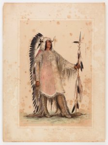  av George Catlin