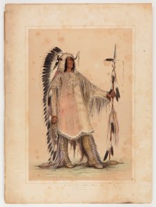  av George Catlin