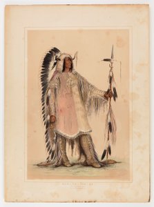 av George Catlin