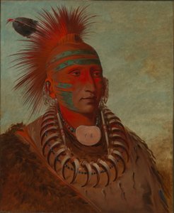  av George Catlin