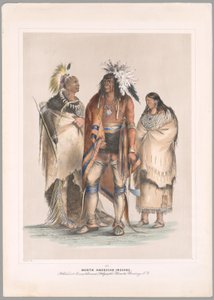  av George Catlin