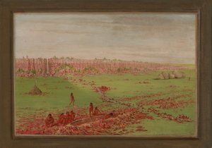  av George Catlin