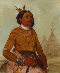 Steinskall, en modig av George Catlin