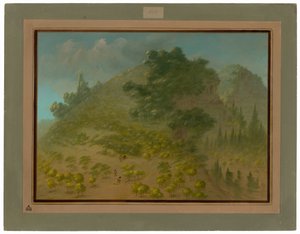Rhododendronfjellet av George Catlin
