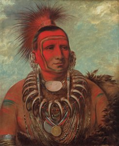  av George Catlin