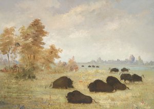  av George Catlin
