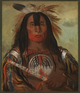 Stu-mick-o-súcks, Buffalo Bull#39;s Back Fat, Høvding, Blodstamme av George Catlin