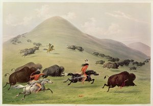 Bøffeljakten, ca. 1832