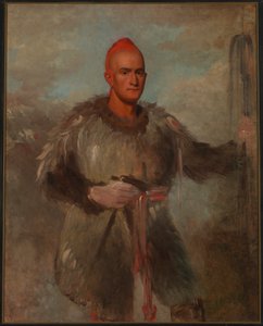  av George Catlin
