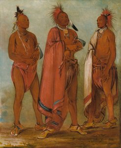 Wa-másh-ee-sheek, Han som tar bort; Wa-chésh-uk, Krig; Mink-chésk, Tre fornemme unge menn av George Catlin