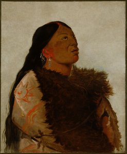  av George Catlin