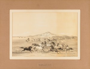  av George Catlin