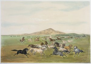  av George Catlin