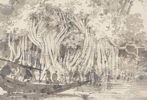 Et Pipul-tre av George Chinnery