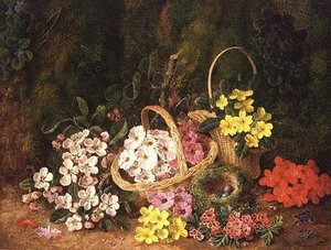 Vårblomster i kurver