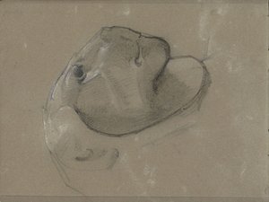 Løvehode, antagelig etter en skulptur av George Clausen