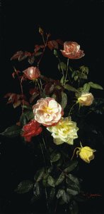 Roser, 1878