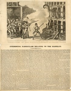 Ødeleggelse av den rasende elefanten ved Exeter Change av George Cruikshank