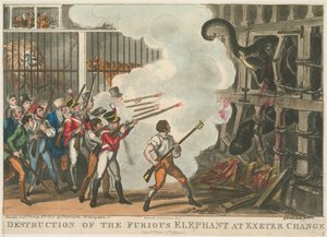 Ødeleggelse av den rasende elefanten ved Exeter Change, 1826 av George Cruikshank