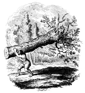 Mann som bærer en stor trestamme på skulderen, 1800-tallet.