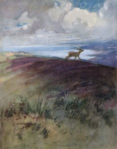 Illustrasjon for historien om en rød hjort (farge litho)
