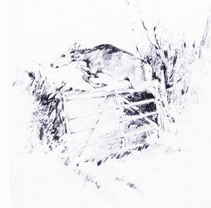 Som en pil fra en bue (litho) av George Denholm Armour