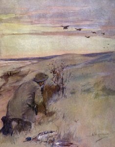Vill fuglefugl: flygende (farge litho) av George Denholm Armour