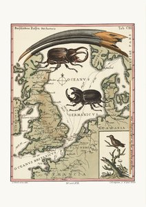 The Bill of the Egyptian Ibis and the least Hummingbird, 1749-73