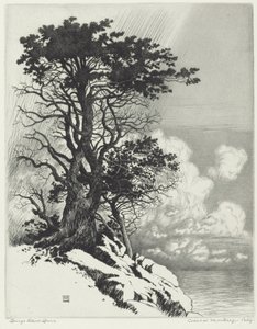 Kysten ved Monterey, California av George Elbert Burr