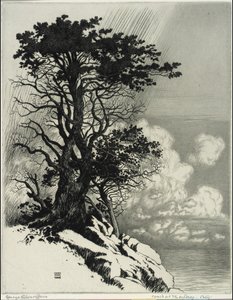  av George Elbert Burr