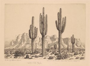 Desert Sentinels, Apache Trail, Arizona av George Elbert Burr