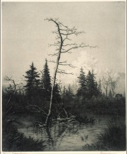  av George Elbert Burr