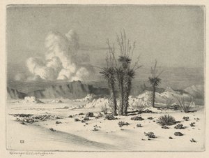 Kveld, Arizona av George Elbert Burr