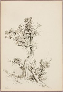 av George Elbert Burr