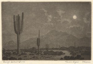 Måneskinn-Phoenix av George Elbert Burr