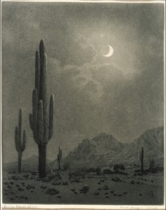  av George Elbert Burr