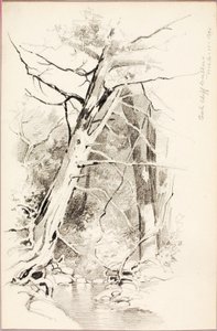  av George Elbert Burr
